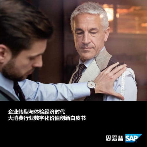 企业转型与体验经济时代大消费行业数字化价值创新白皮书