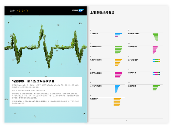转型思维：成长型企业现状调查-封面