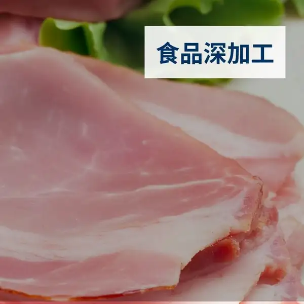 食品深加工方案页封面