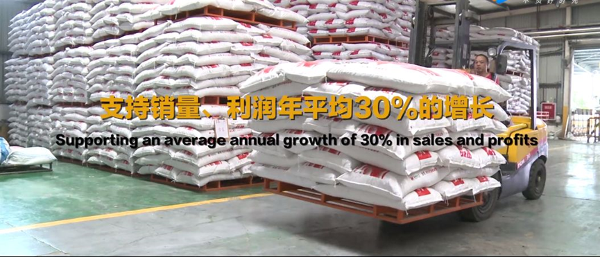 铁骑力士SAP数字化转型-信息化试点