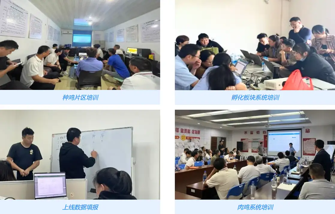 圣农SAP和智慧农场系统培训