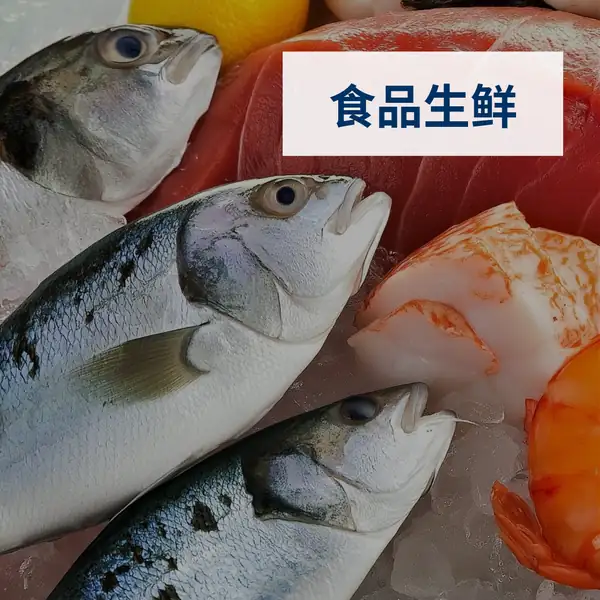 食品生鲜方案页封面