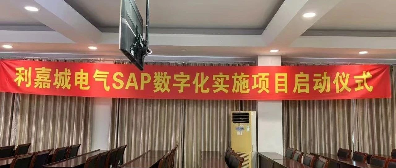 杭州利嘉城SAP ERP数字化项目启动会