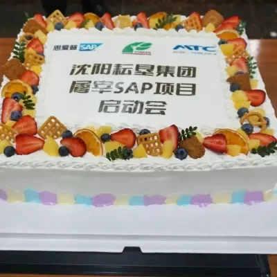 耘垦集团SAP ERP屠宰加工项目启动会-蛋糕